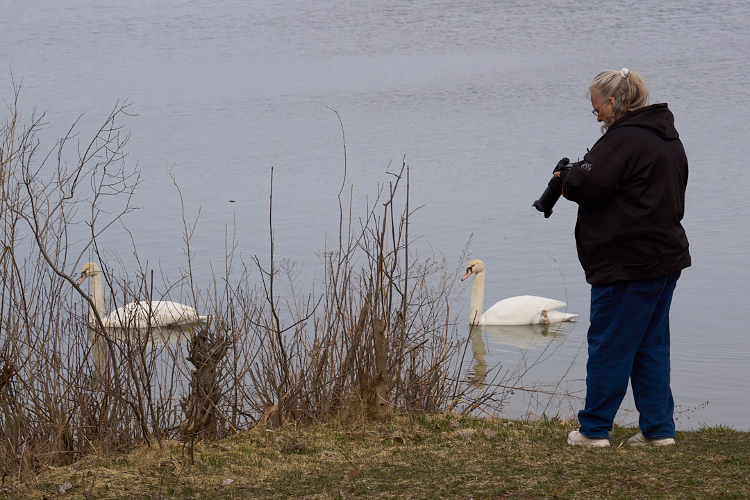 Rainbow Grill & Millennium Park