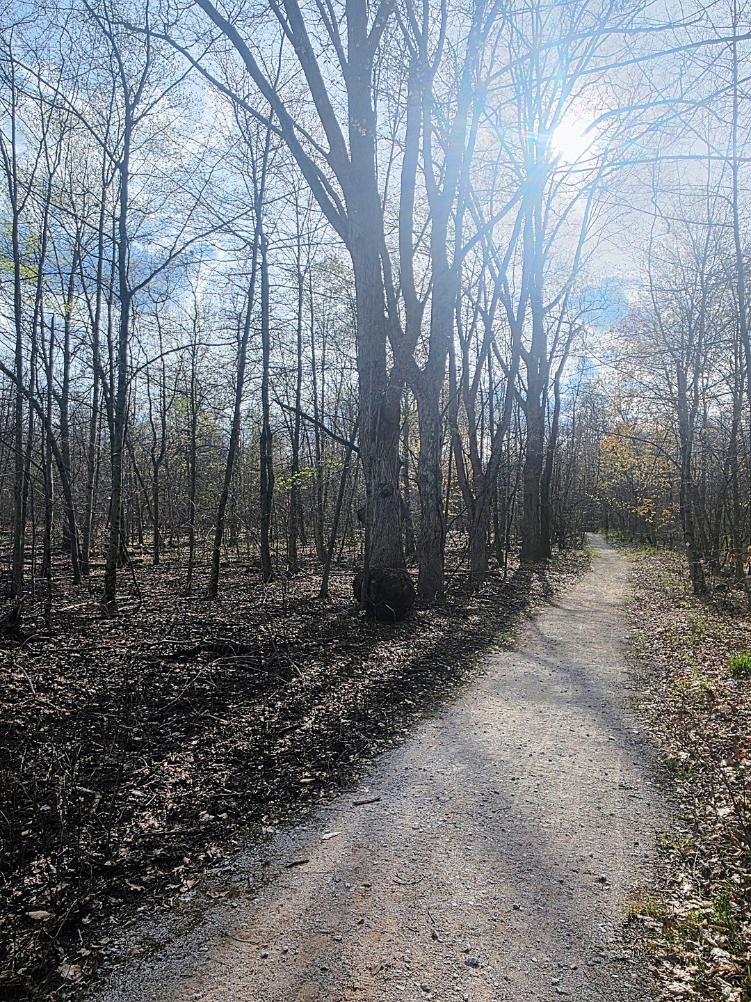 Armintrout-Milbocker Nature Preserve