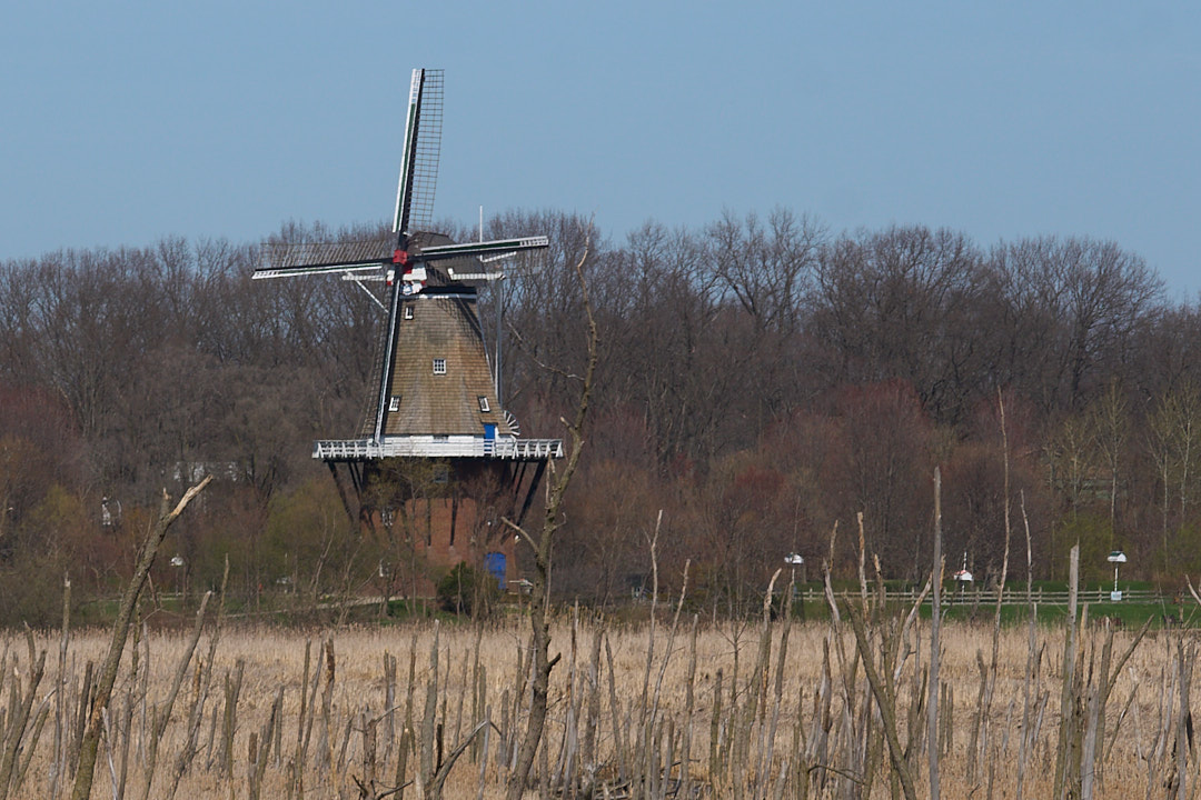 Window on the Waterfront